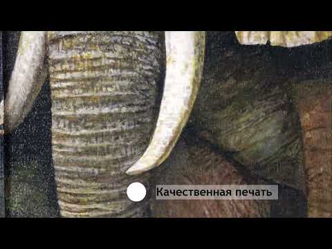 Миниатюра изображения товара Картина Декарт Пара слон и слоненок 8Л0007 (в раме)