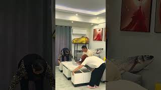 This Japanese House is Mind-Blowing! 🏠✨ #audio