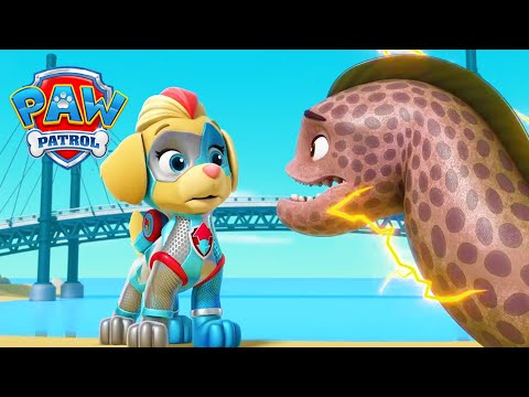 Psi Patrol (PAW Patrol) - Sezon 1 - Odcinek 13 - Potężna murena!