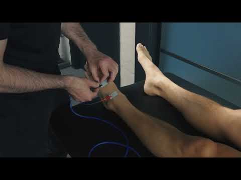 Body Composition @pro-sportlab