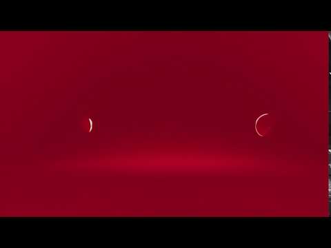 ZPR Media/TV Puls (2021)