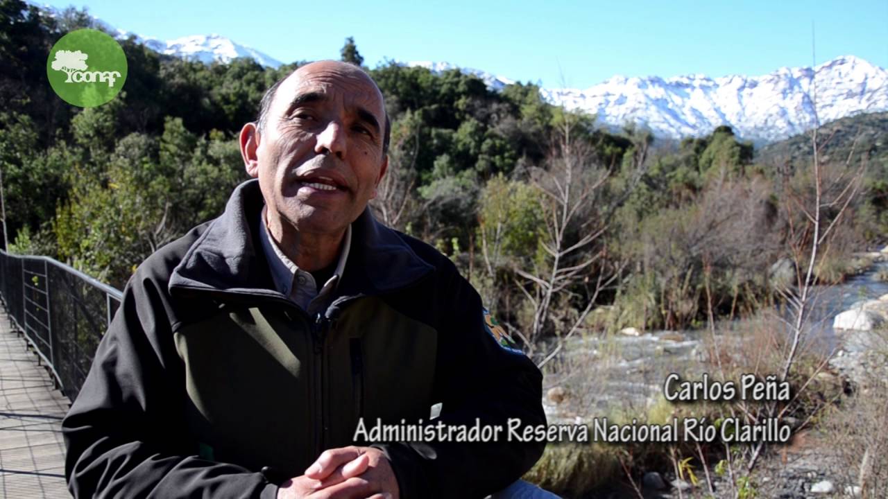 Parque Nacional Río Clarillo: ¿Qué conservamos?