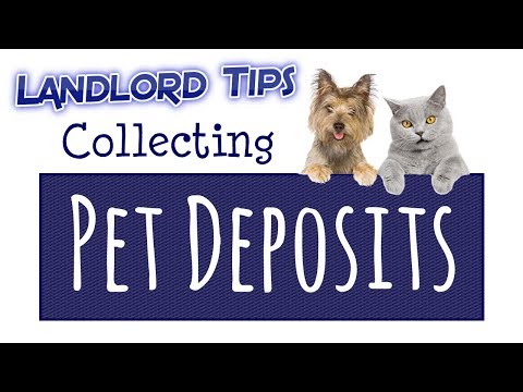 Collecting a Pet Deposit from Tenants - Landlord Tips