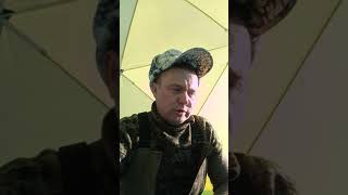 Ссылка