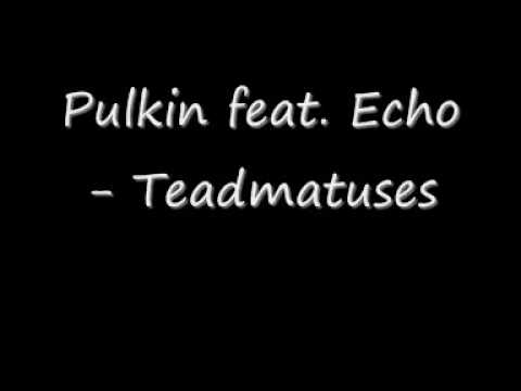 Pulkin feat. Echo - Teadmatuses
