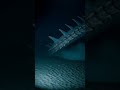Deep‑Sea Diver Records Massive Coral‑Encrusted Creature Below Trench