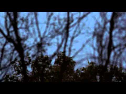 Palangeti Rela Kiyath Aran - පළඟැටි රැල කියාත් අරං