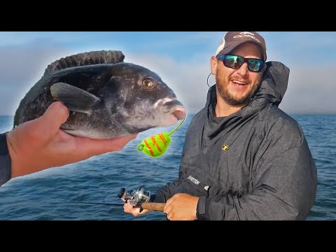 How to Catch Tautog (Blackfish) on Jigs (feat. Joe Baggs)
