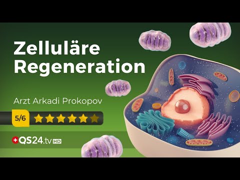 Stromausfall im Körper | Arzt Arkadi Prokopov | @QS24