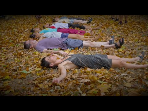 download lagu mp3 mp4 Contact Festival Freiburg, download lagu Contact Festival Freiburg gratis, unduh video klip Contact Festival Freiburg