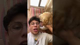 Un nuevo mazo de MTG commander con lucky #commander #marvel #mtg