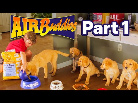 Air Buddies - Chapter 01  | Official Movie