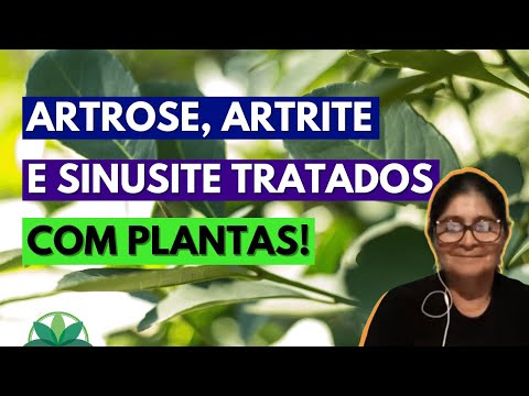 Artrose, artrite e sinusite tratados com plantas!!