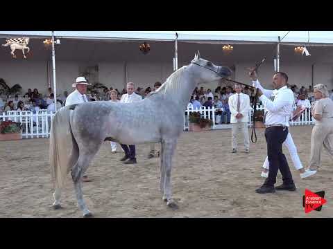 N.120 AD PRINCE ONE - Menton 2019