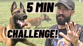 PHYSICALLY AND MENTALLY EXHAUST YOUR DOG IN 5 MINUTES!