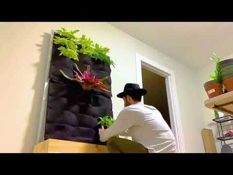 Florafelt Pockets Easy Living Wall