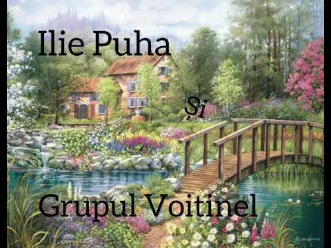 Grupul Voitinel și Ilie Puha * Mai e puțin pe-acesta cale #iliepuha #grupvoitinel 