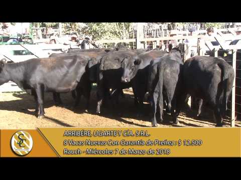07-03-18 Venta de Vientres - Arribére, Ugarte y Cía. S.R.L. - Rauch