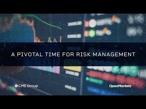 Economist Perspective: A Pivotal Time for Risk Management
