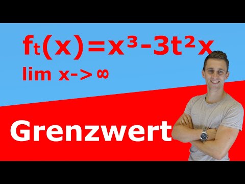 Behavior at infinity of a function family | TeacherBros