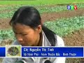 Kỹ Thuật Trồng Cà Chua