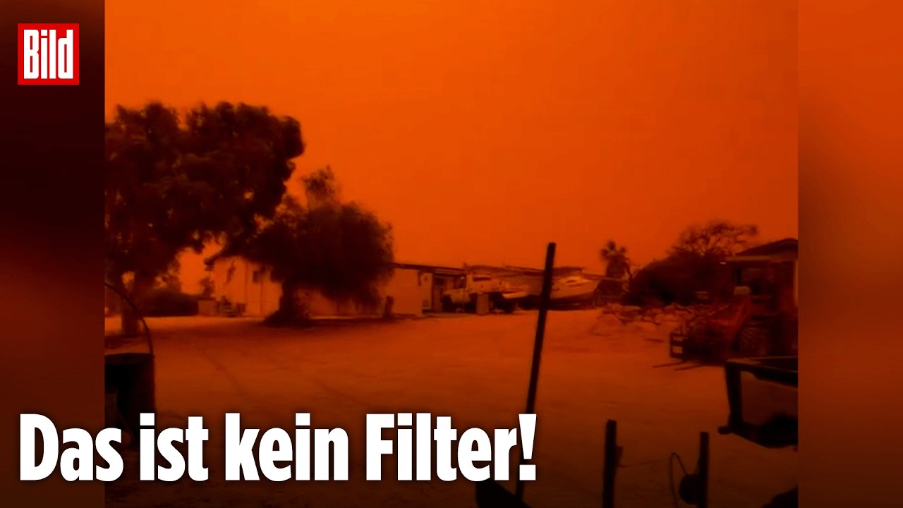 Naturspektakel in Australien: Himmel über Shark Bay färbt sich blutrot