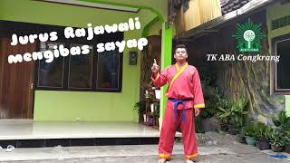 Download lagu Tapak Suci Jurus Rajawali Mengibas Sayap mp3
