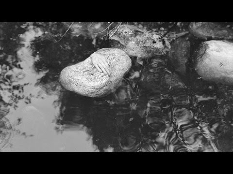 download lagu mp3 mp4 Nils Wilhelm Gustafsson, download lagu Nils Wilhelm Gustafsson gratis, unduh video klip Nils Wilhelm Gustafsson