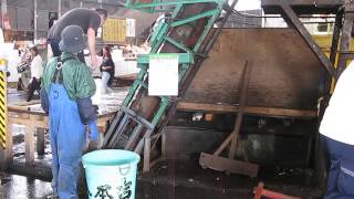 2015-04-17 Tsukiji Fish Market, Tokyo