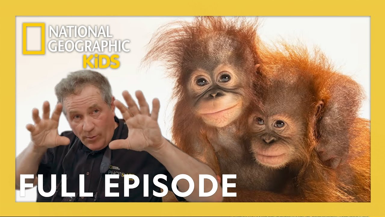 Animal Photoshoot: Monkeys, Big Cats, and More! 🐵😺📷 | Photo Ark Full Episode | @natgeokids