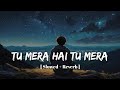 Tu Mera Hai Tu Mera Slowed Reverb Harshvardhan Rane Sonam Bajwa