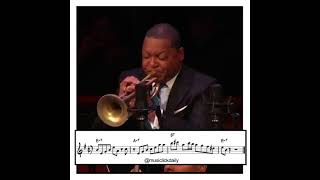 Wynton Marsalis on "Ban Ban Quere" - Jazz at Lincoln Center Orchestra with Rubén Blades