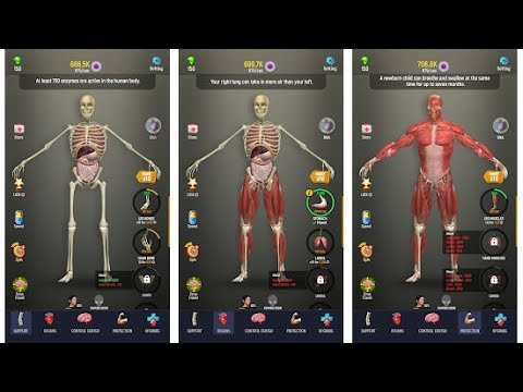 Idle Human Idle Human(by Green Panda Games) - Mobile Game Gameplay Android iOS HQ