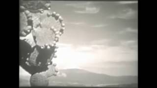 Aphex Twin - Radiator