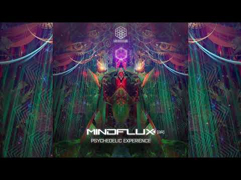 MindFlux - Psychedelic Experience (Original Mix)