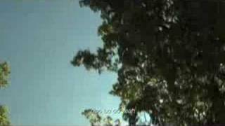 The Sea and Cake - Crossing Line (music video)