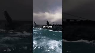 Download lagu Kamikaze Pilots Explained #history #butterflyeffect #facts #army #airforce #military #kamikaze #fyp mp3 Download lagu Kamikaze Pilots Explained #history #butterflyeffect #facts #army #airforce #military #kamikaze #fyp mp3