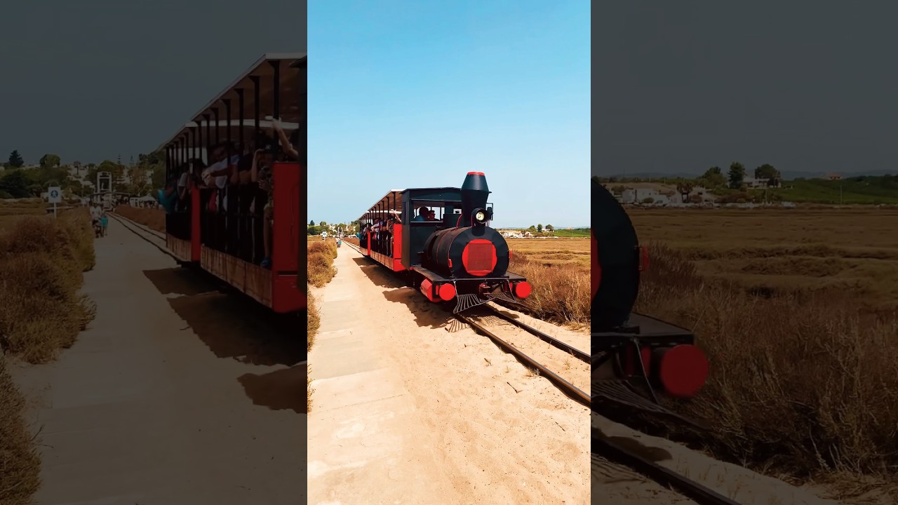 YouTube Short thumbnail