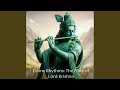 Divine Rhythms The Flute Of Lord Krishna