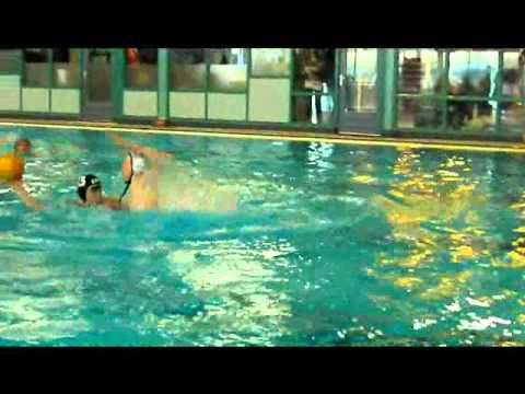 Alkemade D1 - CWP/ZGR D1 (8-2)