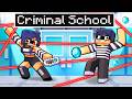 Going to an ALL CRIMINAL Minecraft School! DEFAULT Thumbnail