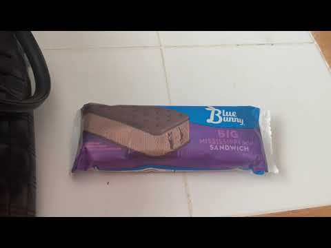 Summer Food Review: Blue Bunny Big Mississippi Mud ice cream sandwich