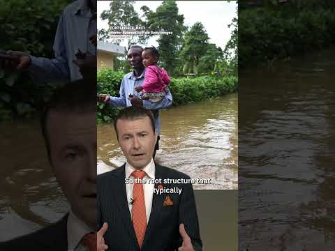 Why Is Haiti at Extreme Flood Risk Right Now?