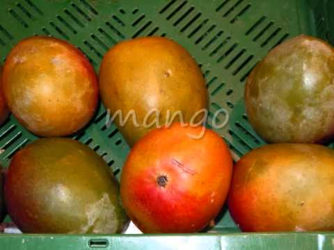 Vocabulario de cocina. Frutas
