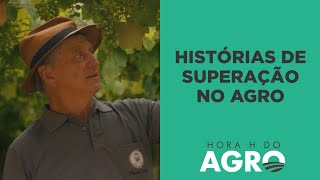 Após ficar órfão, agricultor segue passos do pai e se destaca na produção de uva | HORA H DO AGRO