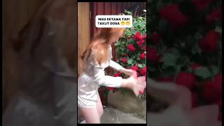 Download lagu mau tertawa tapi takut dosa 😁😁 #shorts #vidiokocak  #vidiokomedi  #funny  #vidiolucudibulanramadhan mp3