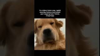 Download lagu @bang tedi@takin mp3 Download lagu @bang tedi@takin mp3