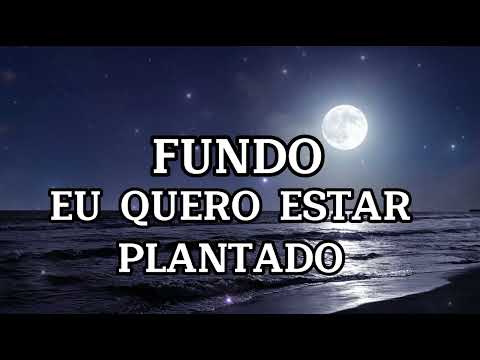 FUNDO EU QUERO ESTAR PLANTADO NO CENTRO DA TUA VONTADE