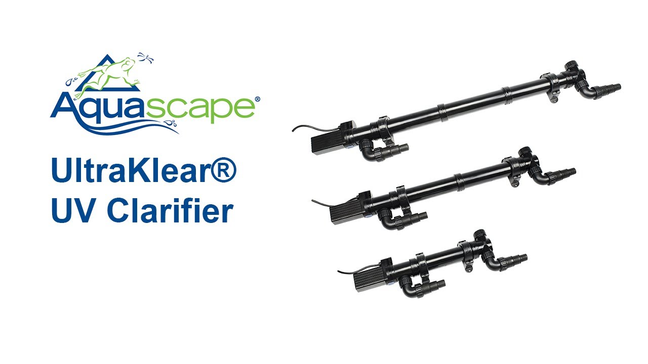 Pond Clarity with UltraKlear UV Clarifier