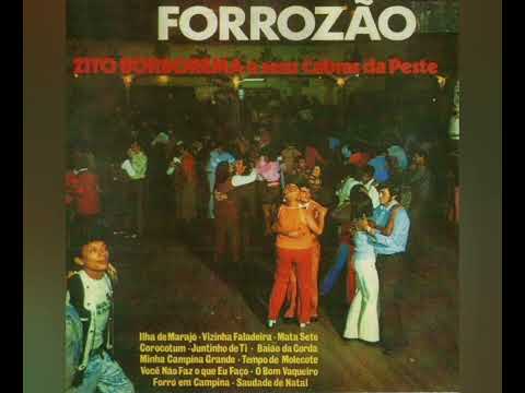 ZITO BORBOREMA E SEUS CABRAS DA PESTE-FORROZÃO-1973-LPCOMPLETOLP-ZITO BORBOREMA-1973-ZITO BORBOREMA.